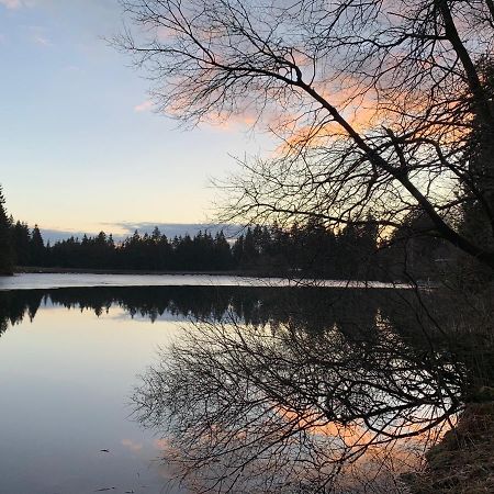 Waldhaus Hahnenklee Lejlighed Goslar Eksteriør billede